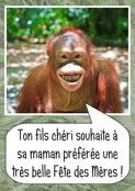 Maman, un singe qui fait sourire !